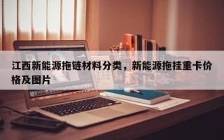 江西新能源拖链材料分类，新能源拖挂重卡价格及图片
