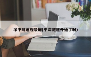深中隧道观景屏(中深隧道开通了吗)