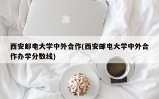 西安邮电大学中外合作(西安邮电大学中外合作办学分数线)