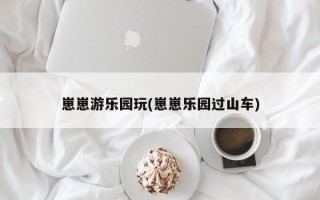 崽崽游乐园玩(崽崽乐园过山车)